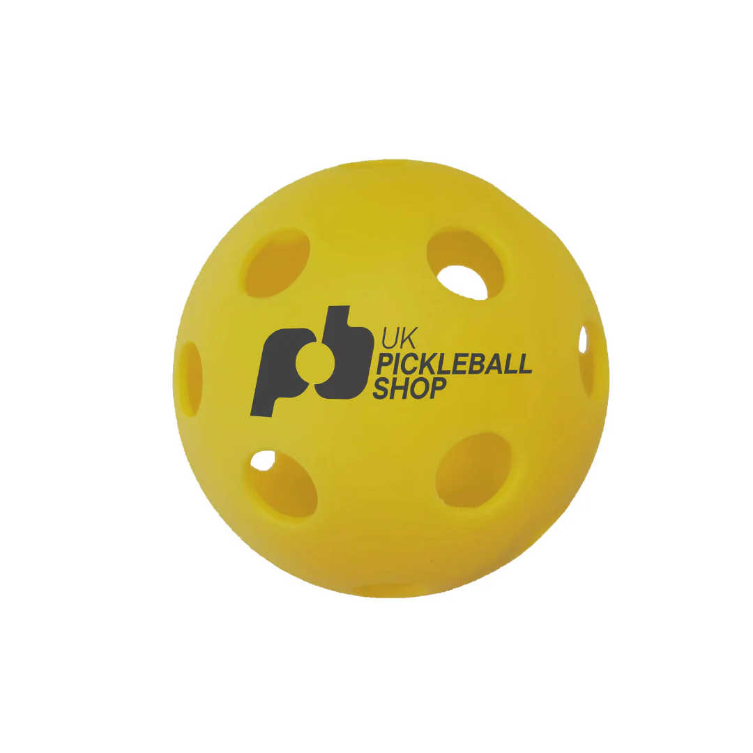 Complete Starter Pack: Oval Picklenet, 4 Club paddles and 4 balls - Image 6